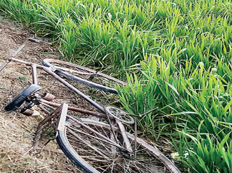 Four deaths, including two students, die of electricity