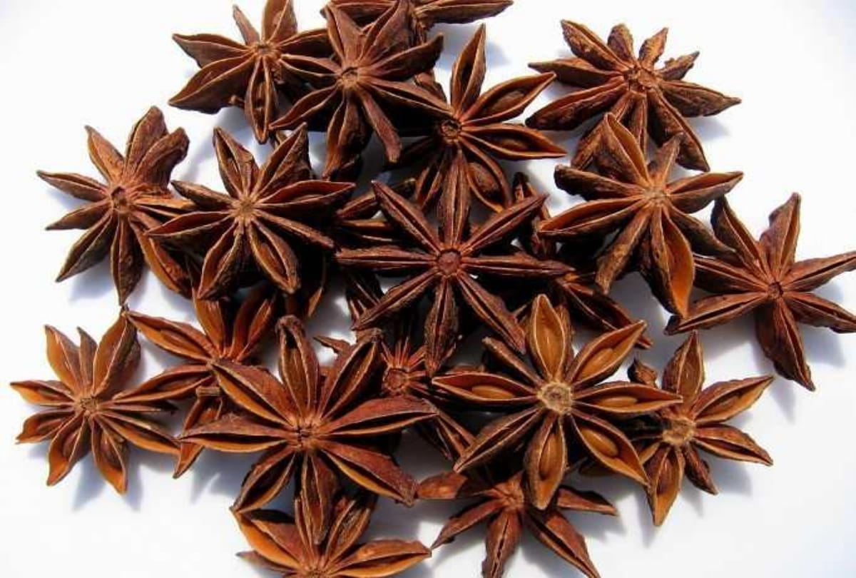5 health benefits of star anise chakra phool for boost immunity cold and flu fighter