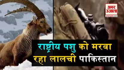 hunting of national animal in Pakistan