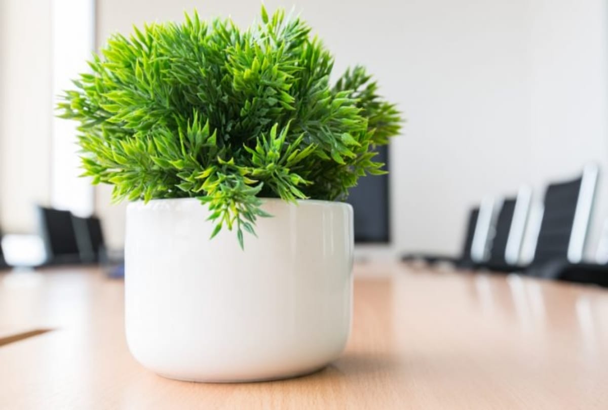 what your desk tells about you