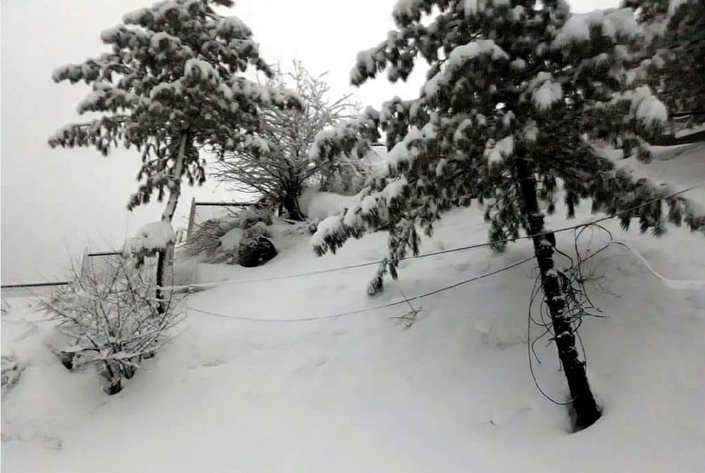 Bitter cold weather return after heavy snowfall in uttarakhand