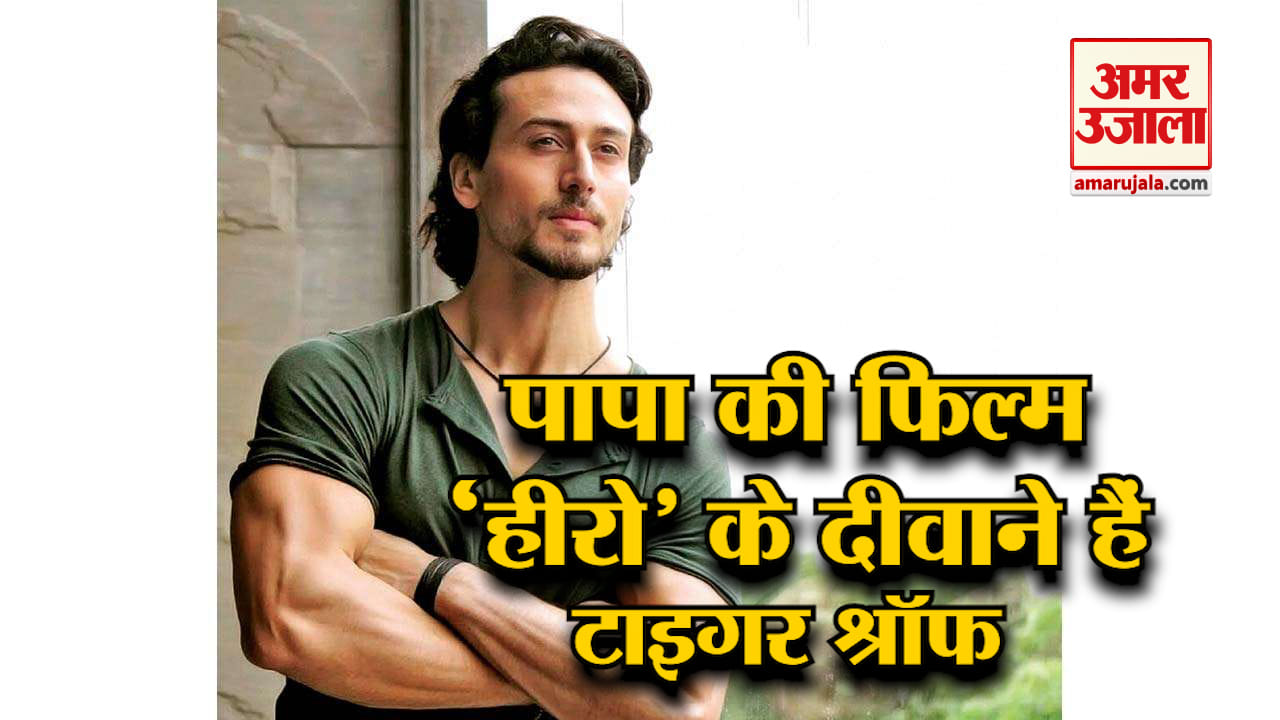 टाइगर