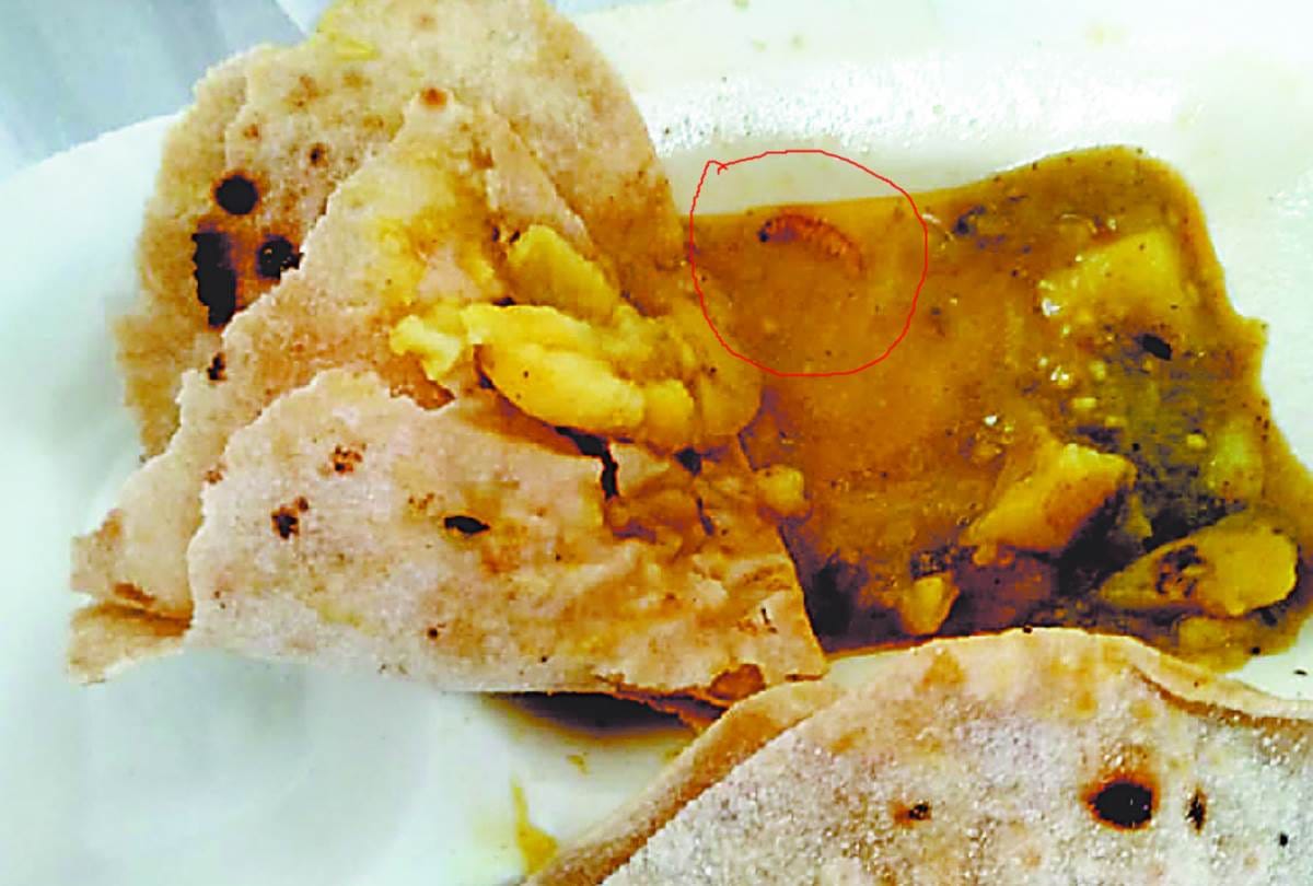 insect found in food of patient in civil hospital