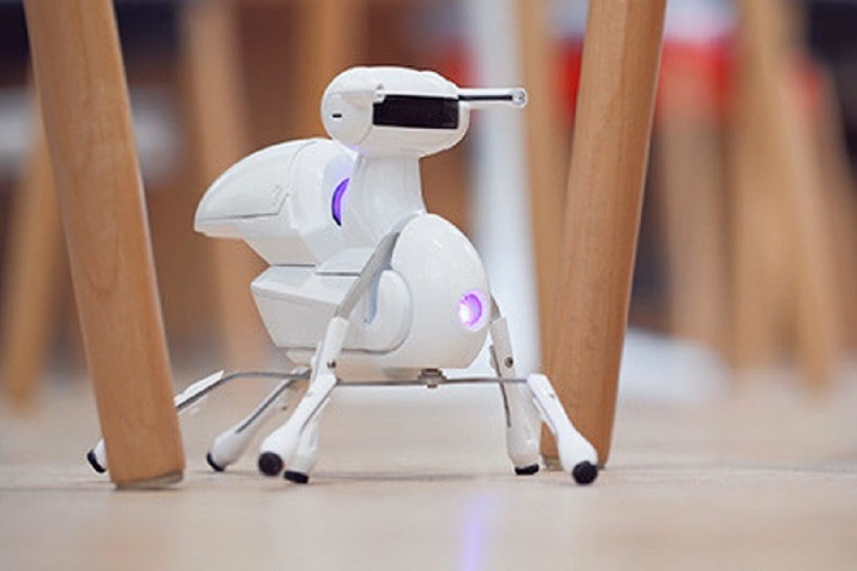 Scientists developed first robot which can walk without GPS