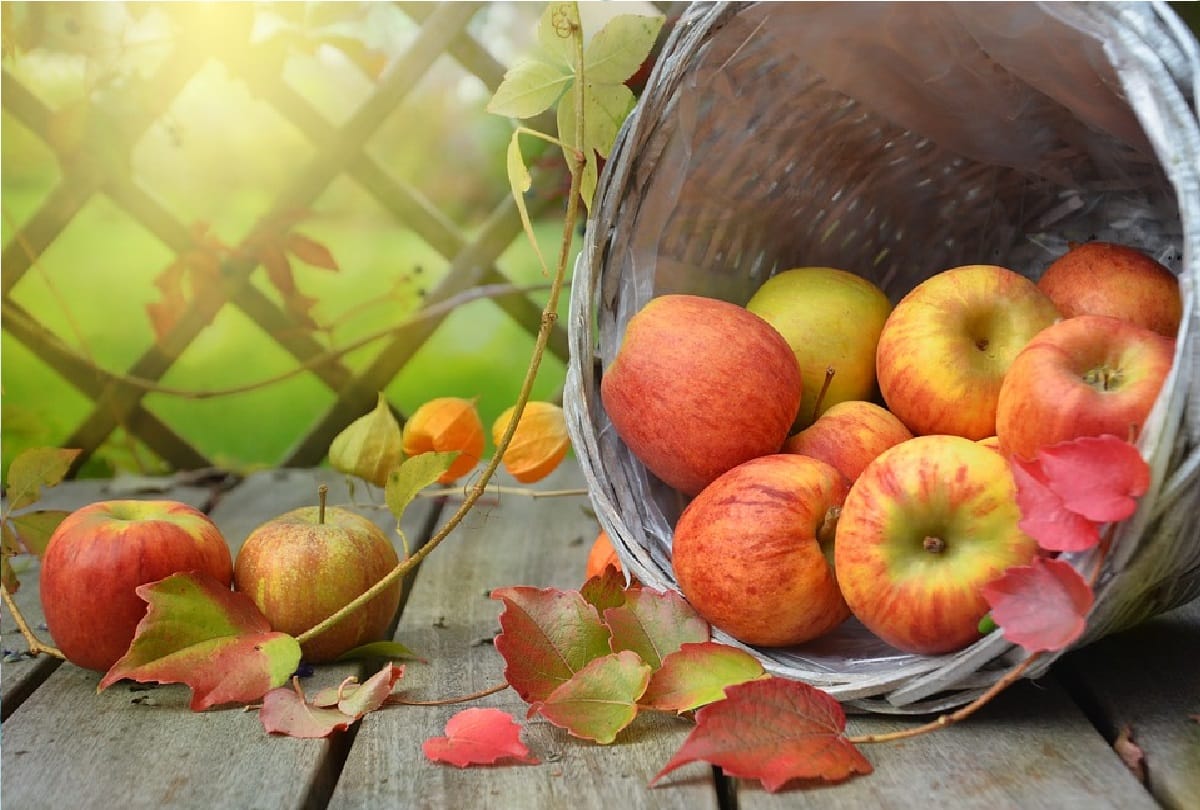benefits of apple for sugar cancer prevention and precautions