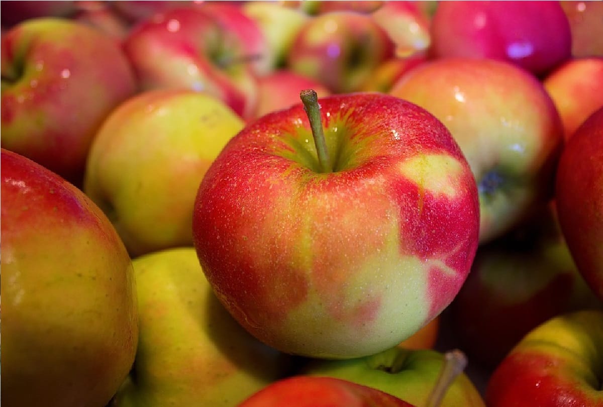 benefits of apple for sugar cancer prevention and precautions