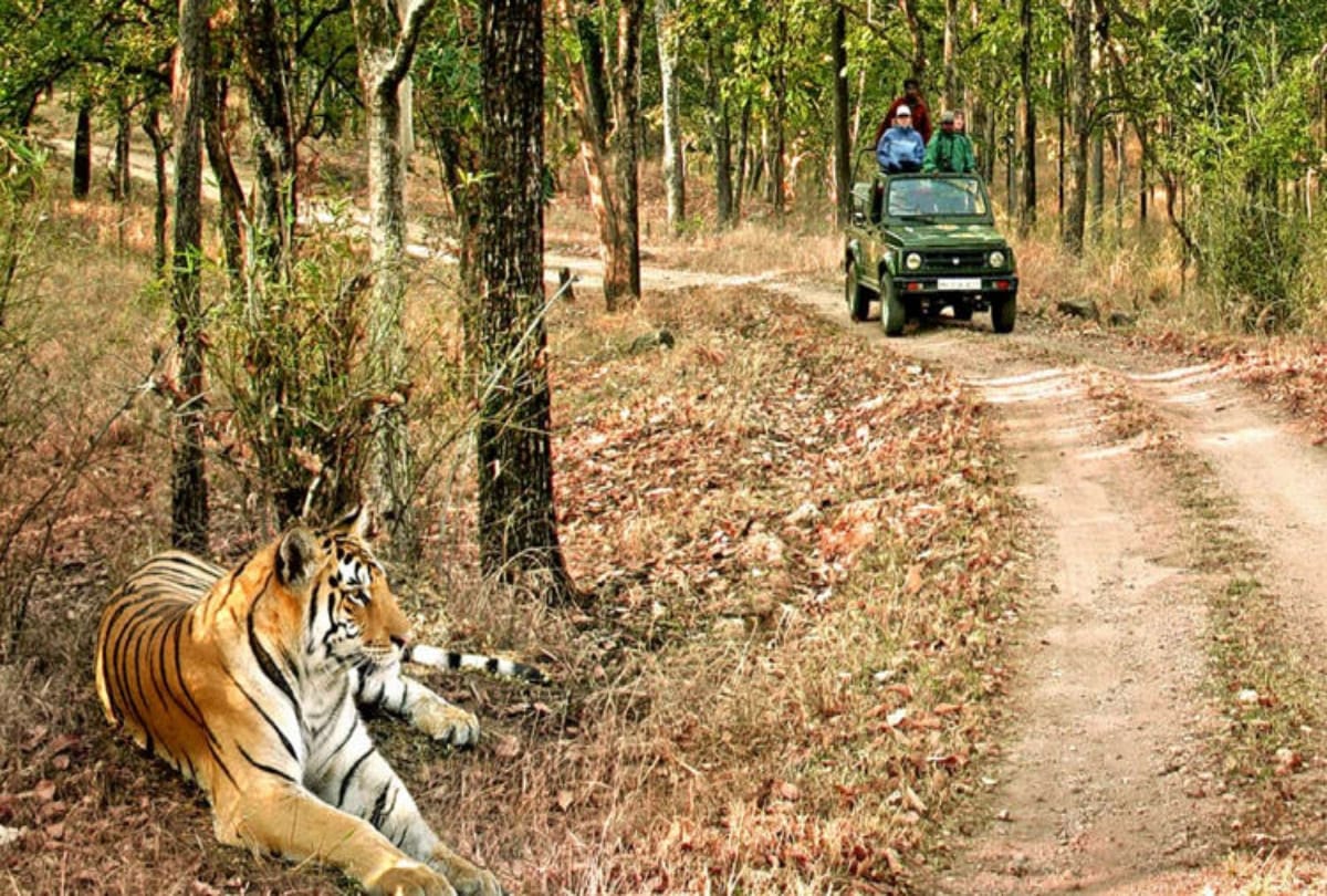 top thrilling wildlife scantuary in india