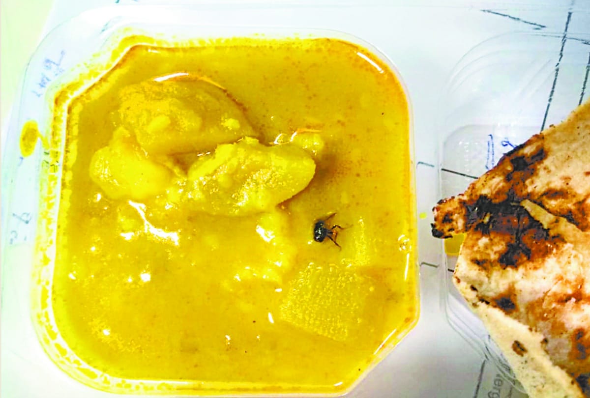 insect found in food of patient in lari cardiology of KGMU