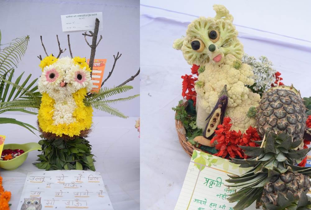 flower exhibition developed as good platform for showing creativity