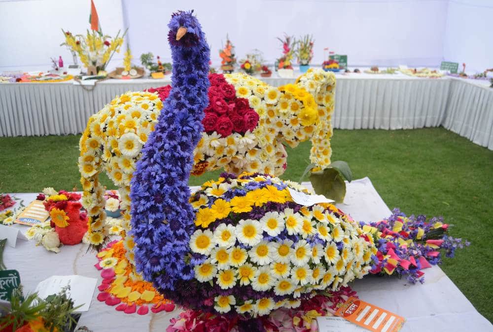 World Flower Show 2020 Jaipur Details Timing things to do in Jaipur