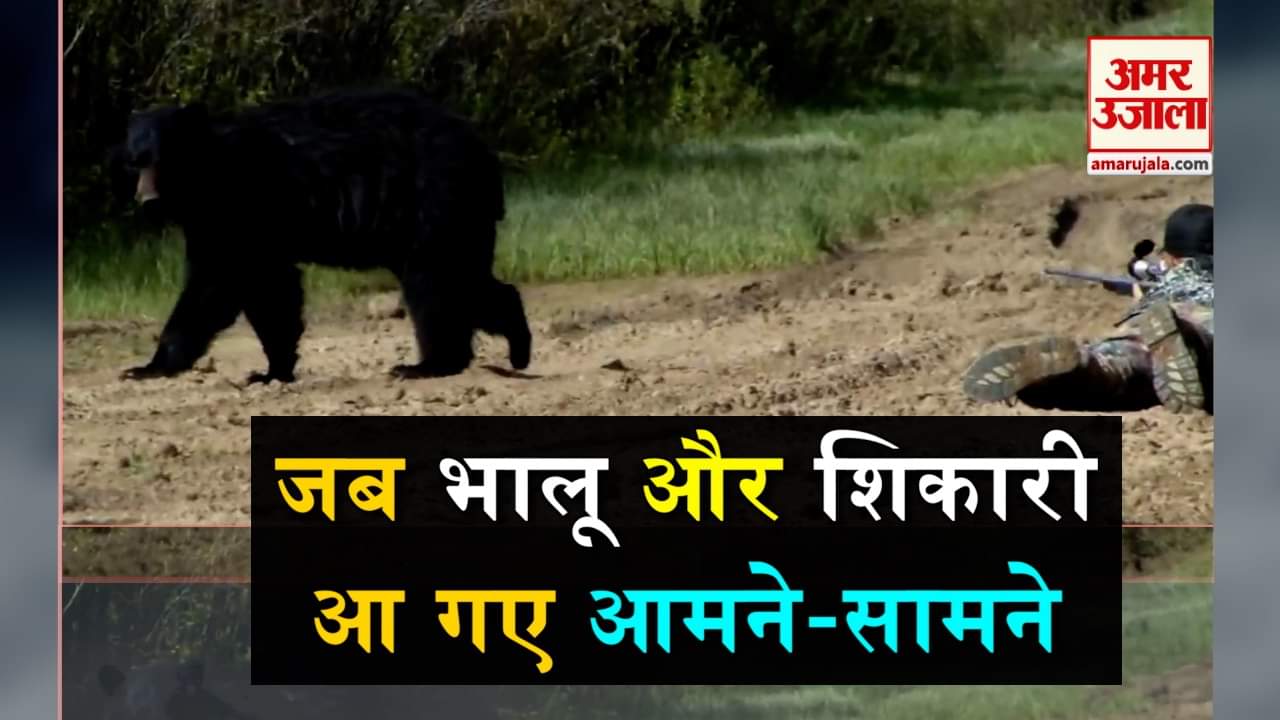 डिजाइन पिक्चर