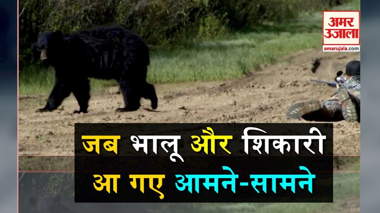 डिजाइन पिक्चर