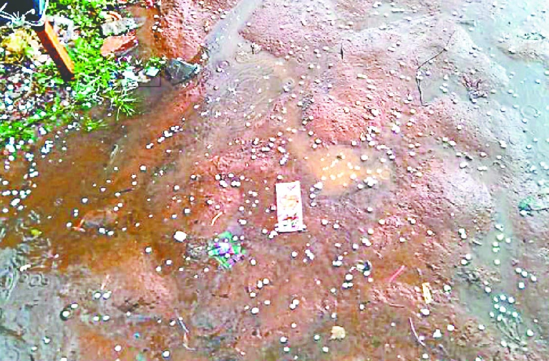 Farmer concerned with hailstorm with rain