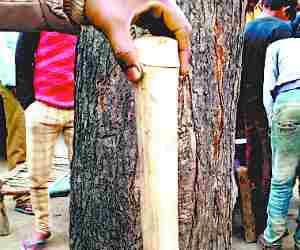 Youth attacks kid, died.