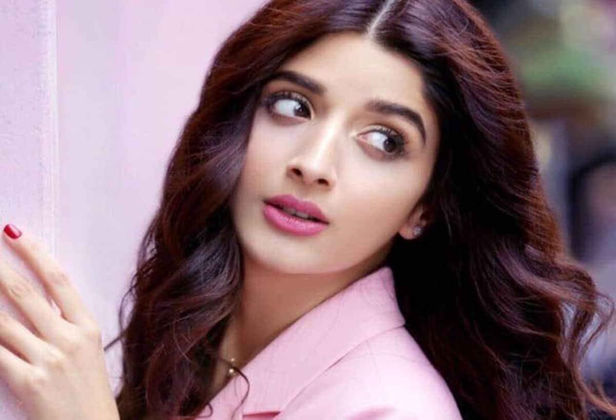 Mawra hocane on pulwama attack but did not say anything against pakistan