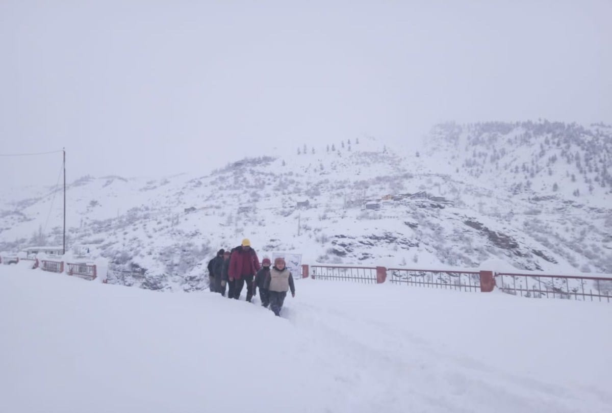 fresh snowfall recorded in high hills of himachal today