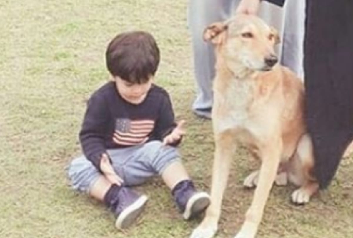 saif kareena taimur ali khan reach pataudi palace gurugram plays cricket with local boys