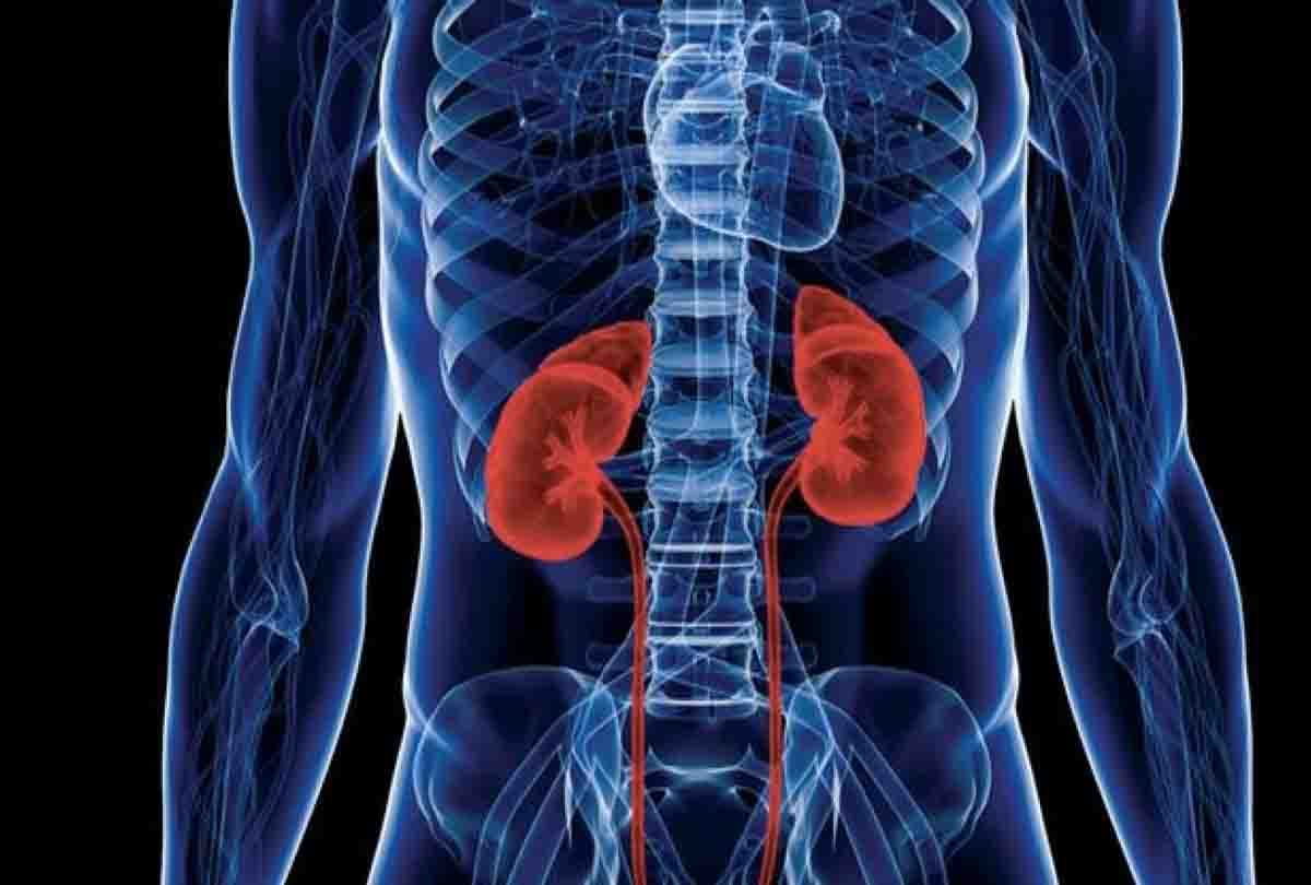 kidney racket in kanpur