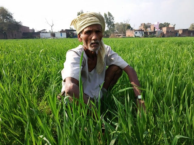 Growing problems with the application of ineligible farmers