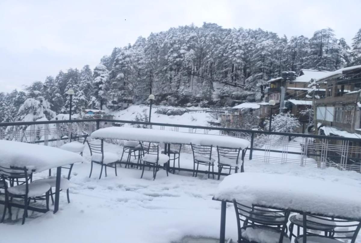 heavy snowfall in tourist place kufri shimla