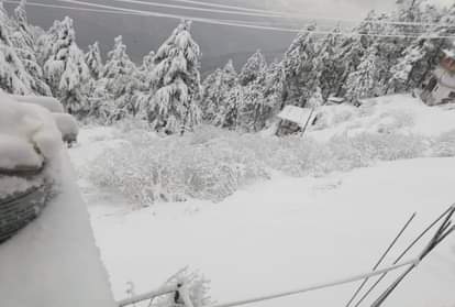 heavy snowfall recorded in himachal pradesh including shimla