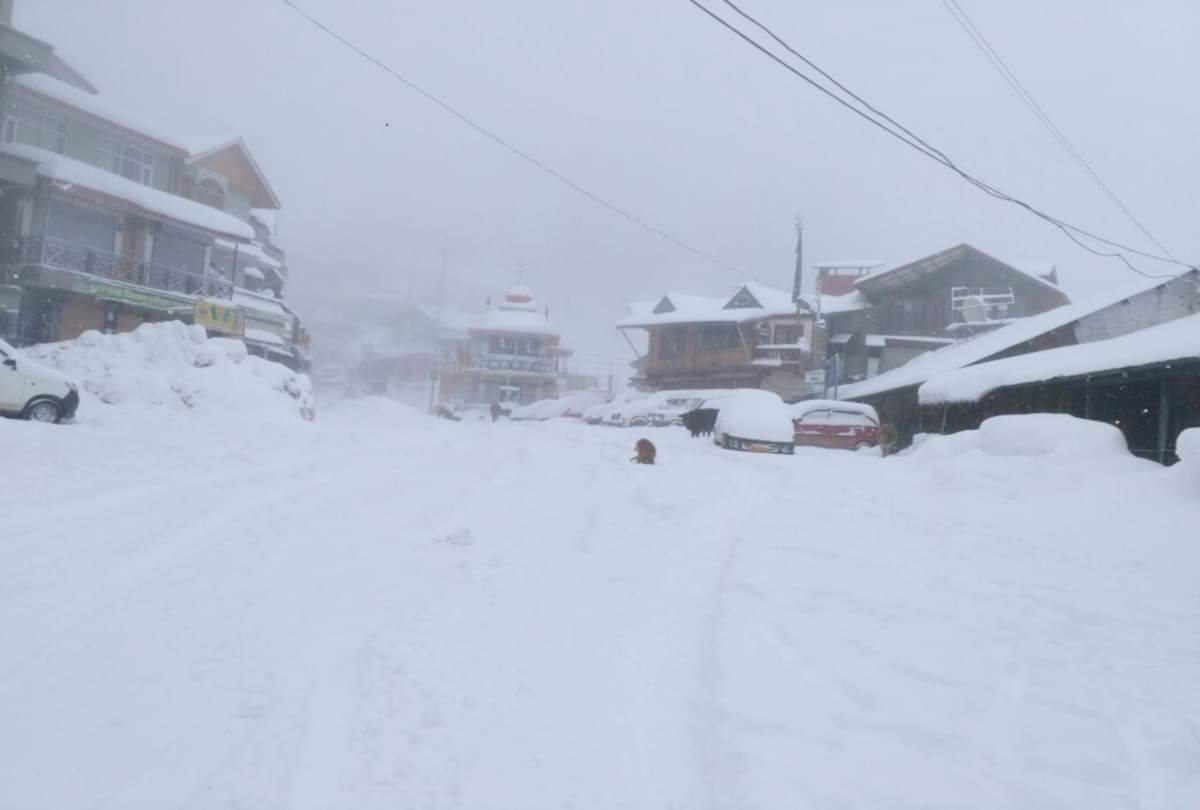 heavy snowfall recorded in himachal pradesh including shimla