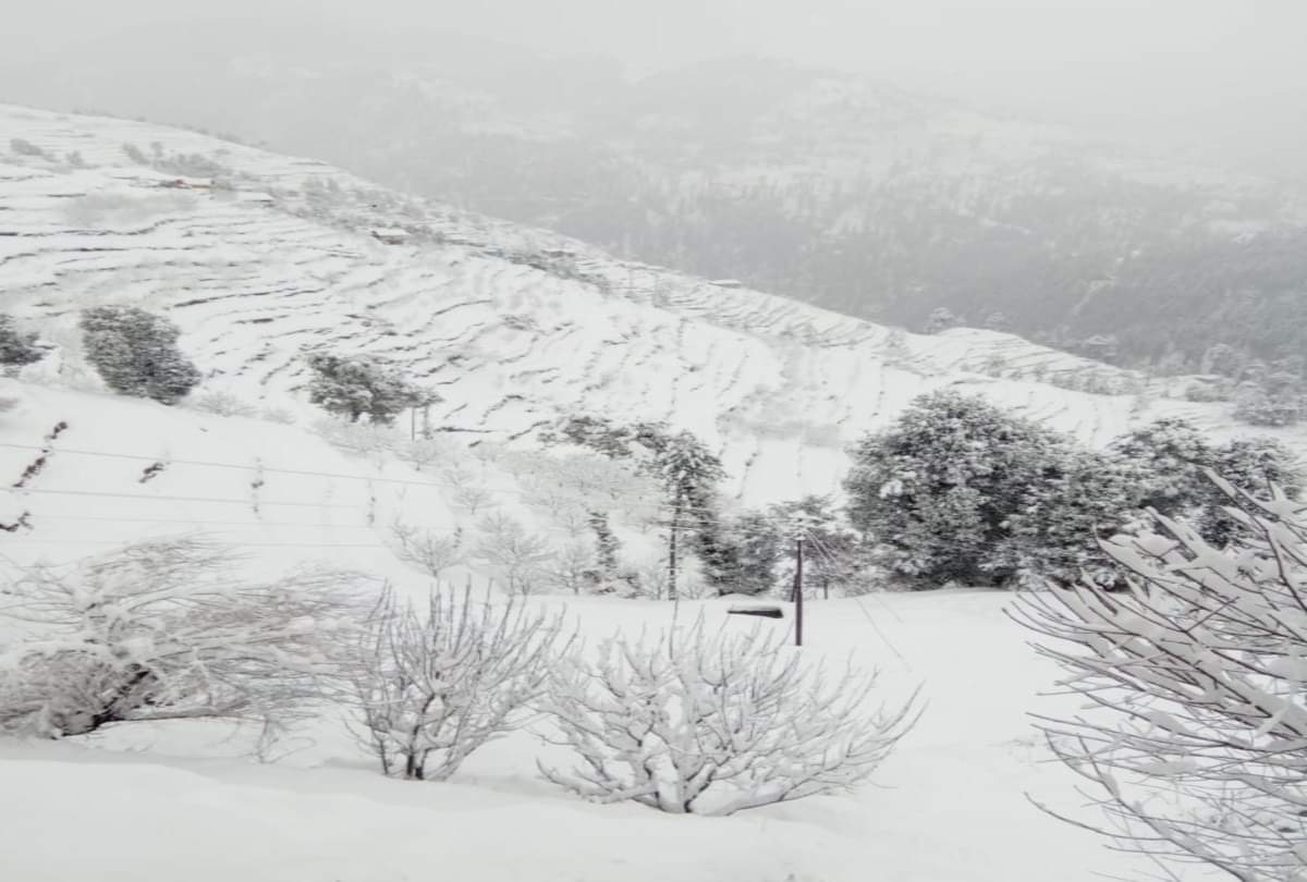 heavy snowfall recorded in himachal pradesh including shimla