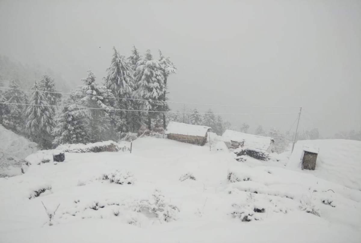 heavy snowfall recorded in himachal pradesh including shimla