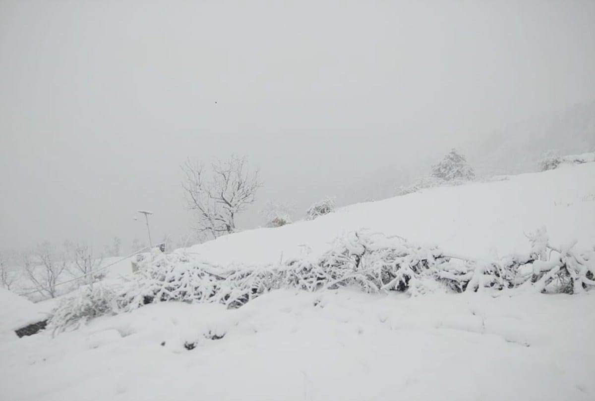 many roads closed in himachal due to heavy snowfall