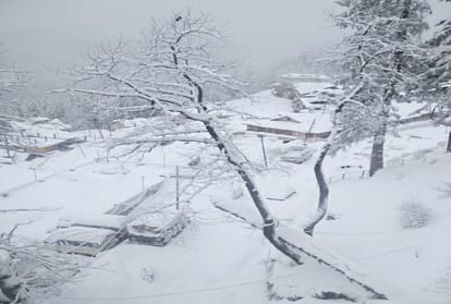 February's snowfall is beneficial for agriculture and horticulture in himachal