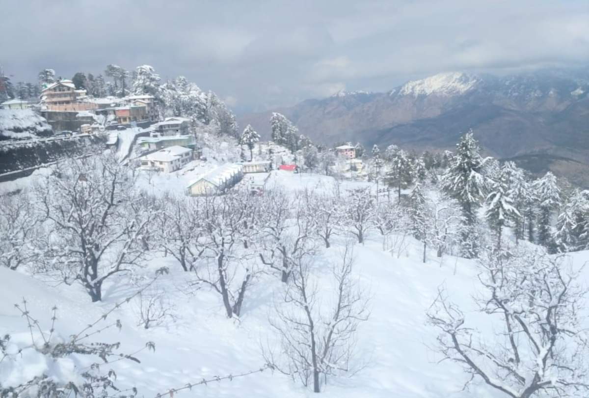 heavy snowfall in tourist place kufri shimla