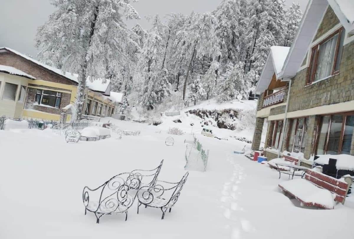 heavy snowfall in shimla after 12 years in february