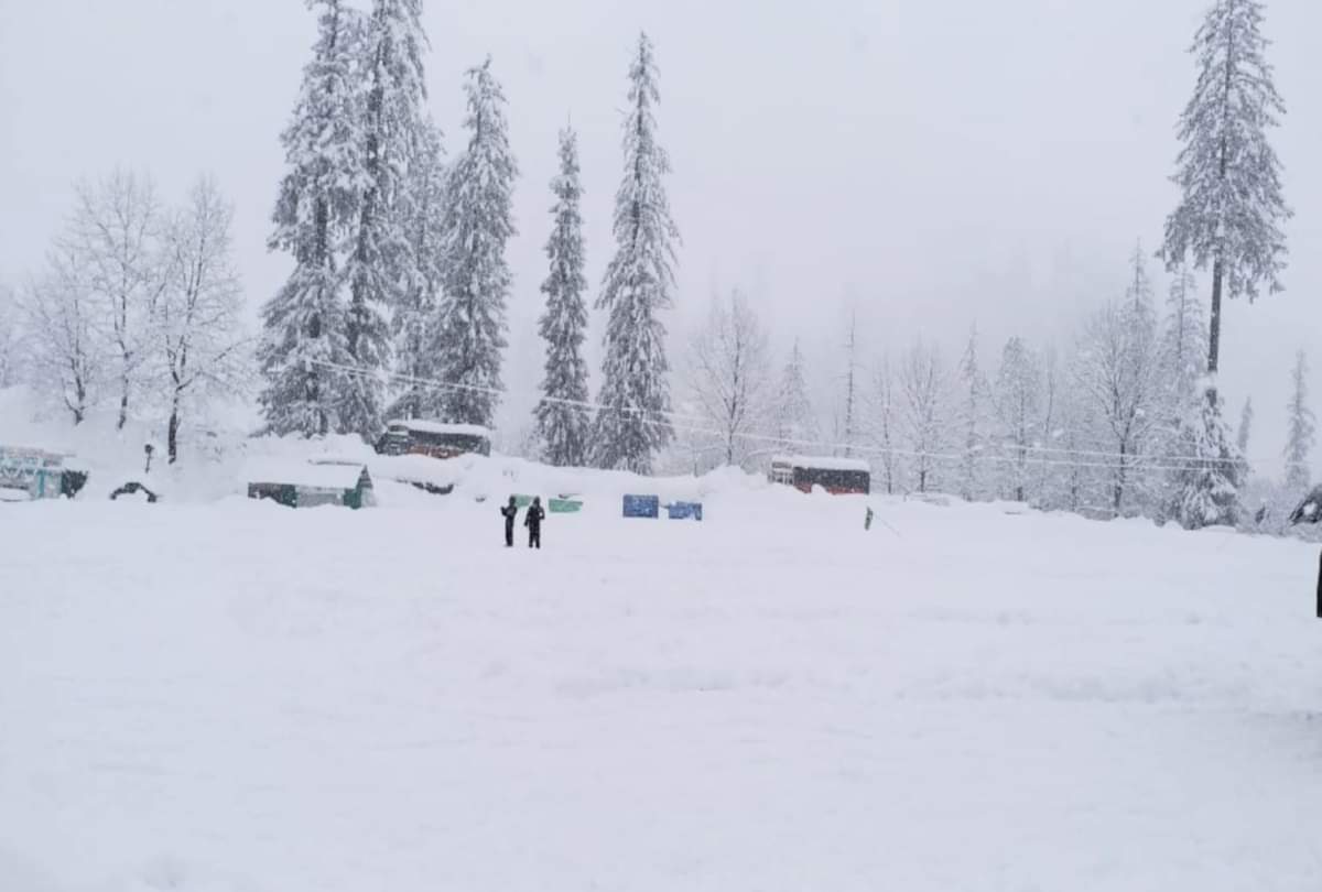 heavy snowfall recorded in himachal pradesh including shimla