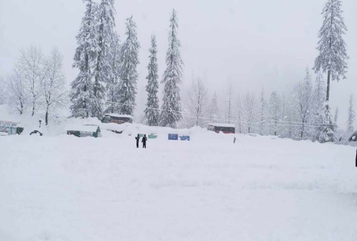 heavy snowfall recorded in himachal pradesh including shimla