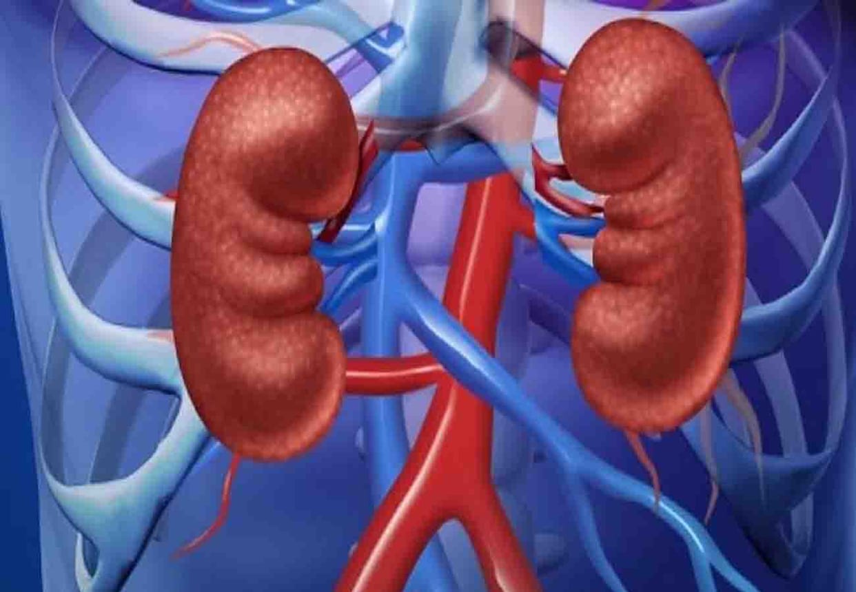 Kidney scandal case