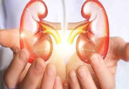 Kidney scandal case