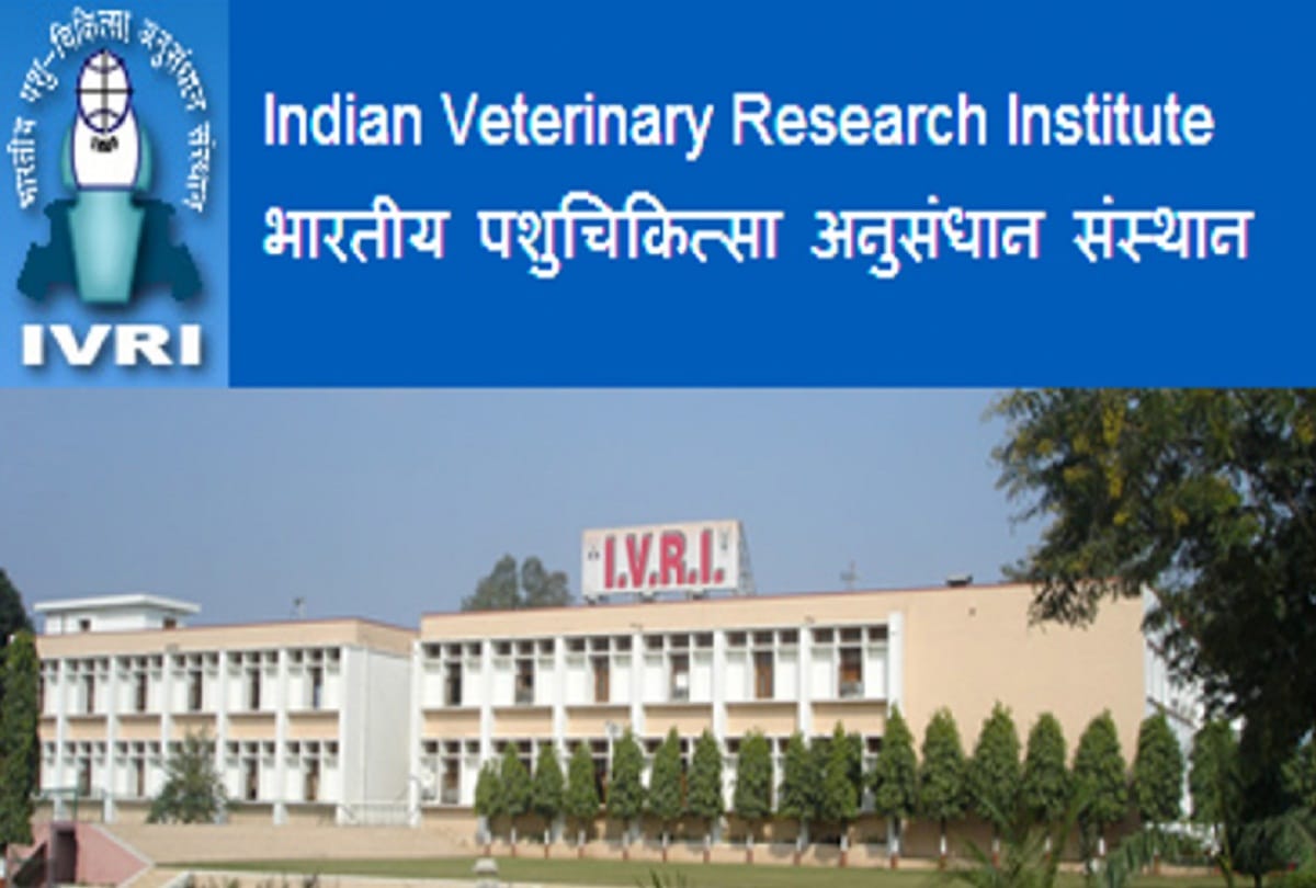 Women are empowered by joining animal husbandry
