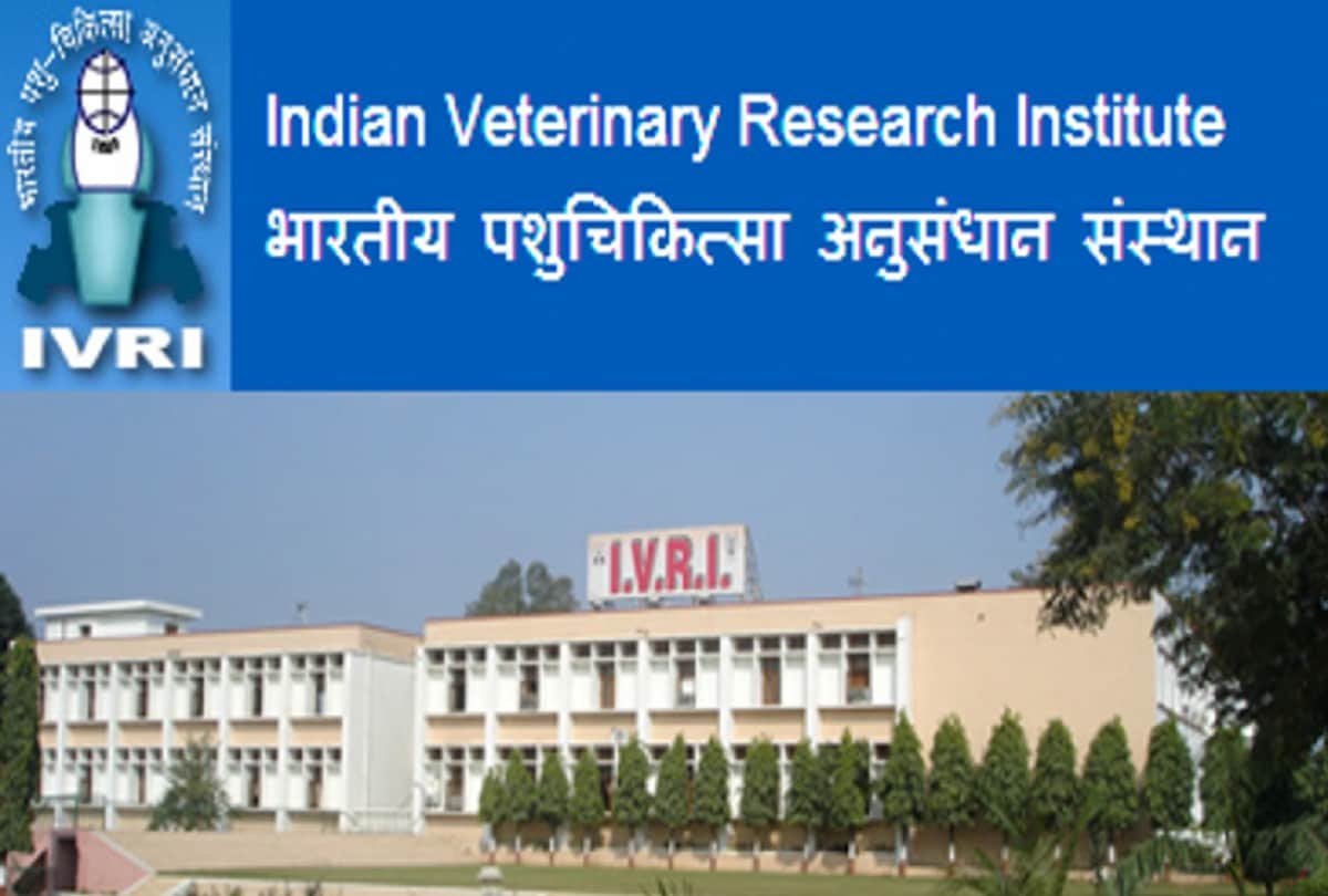 four leopards have died in Chambal Sanctuary in Agra