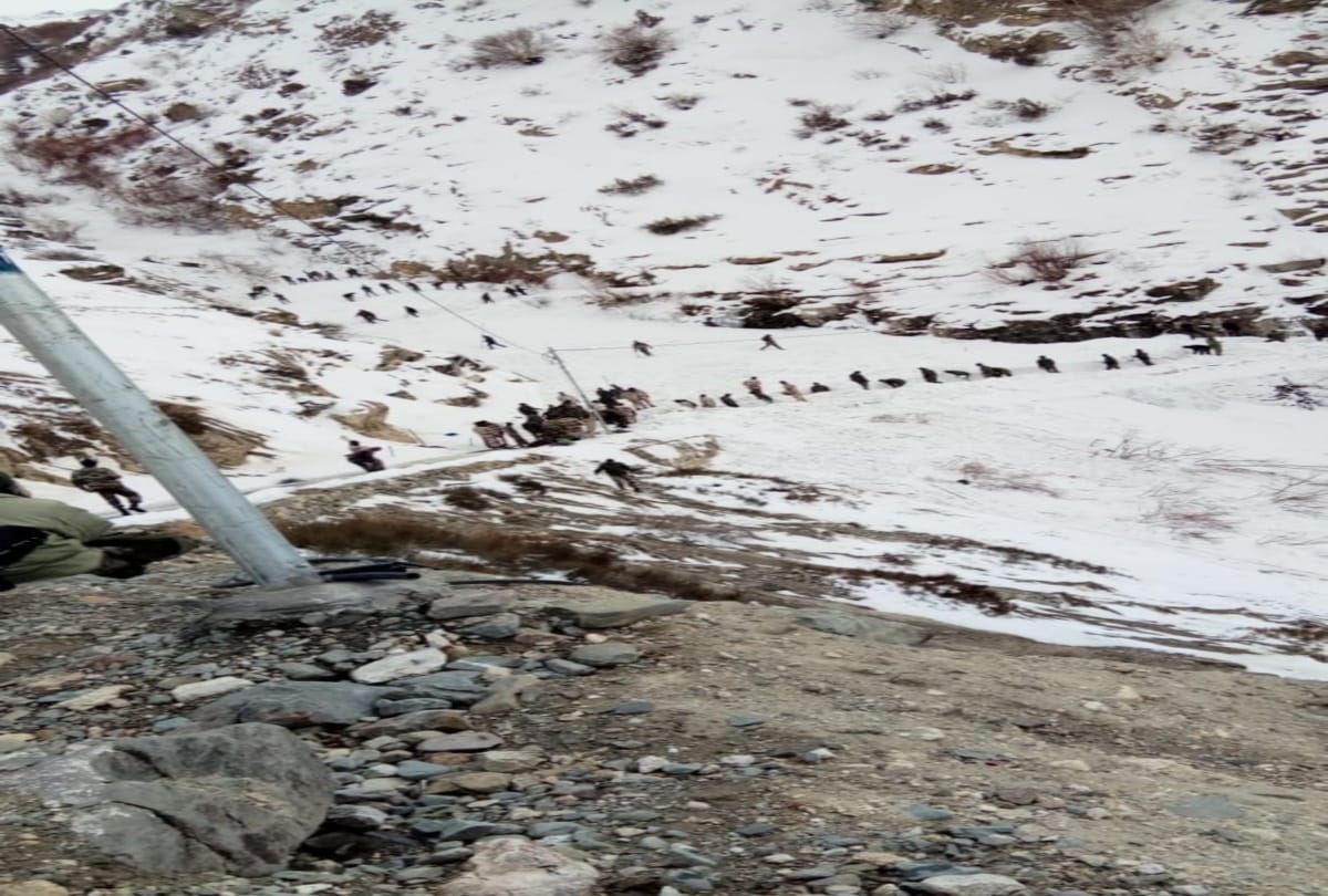 Number of Himachal soldiers buried in avalanche reached four in kinnaur