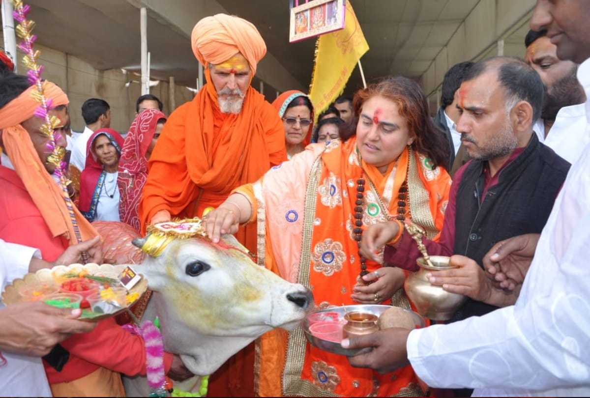 First Time cow Nandi Wedding at kumbh mela
