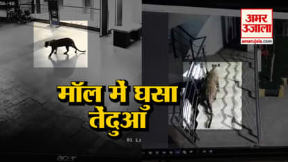 LEOPARD ENTERS A MALL OF THANE, CAUGHT IN CCTV