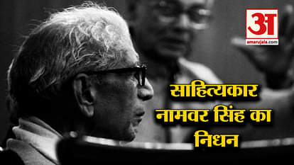 Famous hindi writer namvar singh demise