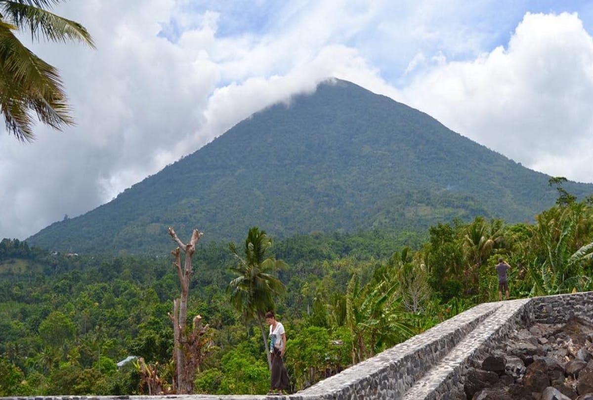 Clove tree was grown on the island of Ternate Indonesia for the first time in the world