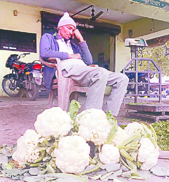 Seasonal kill, cabbage and peas cold market
