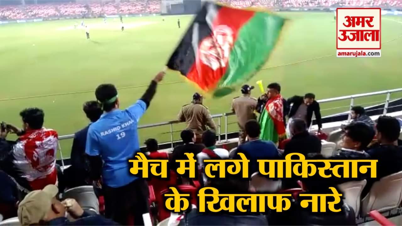 क्रिकेट