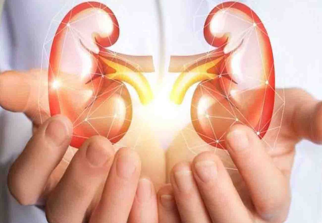 Kidney scandal case in kanpur