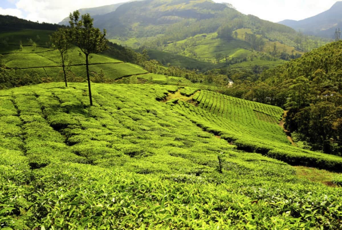 best tourist place in kerala foreigner also love this place