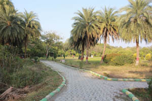 make esay in walk narayan bag
