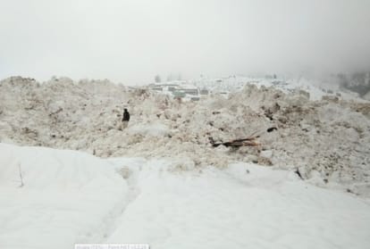 large scale loss due to avalanche in hadsar and koksar in lahaul spiti himachal