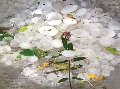 Heavy hail in dozens of villages, waste crops